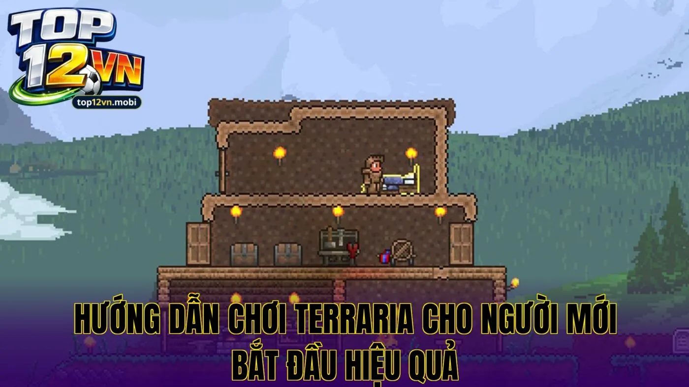 Hướng dẫn chơi Terraria cho người mới bắt đầu hiệu quả